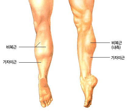 다옴한의원 이미지